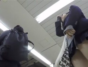 【逆さ撮り盗撮動画】おまいらJK好きだろ Vol.33