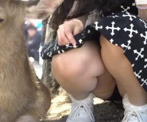 Buyer　鹿公園!!鹿さんとの自撮りに夢中になる女の子