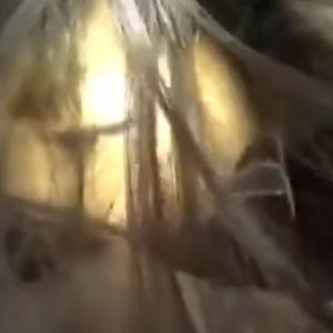 《痴漢動画》ガチで嫌がってるのに電車くちゅくちゅされてる制服JKが発見されてしまう・・・