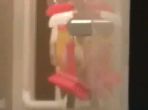 《盗撮動画》他人宅不法侵入撮り！お風呂上がりのホカホカおっぱいを覗き撮りされるガチ素人女子