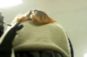 《盗撮動画》”生鮮スーパー+買い物中の若妻”という超生々しいシチュエーションでの逆さ撮りパンチラ