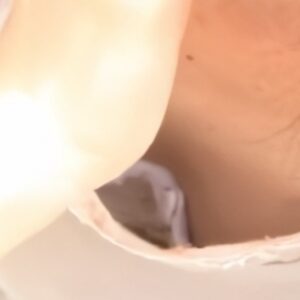 《盗撮動画》現在入手不可のレアな胸チラ映像。昼下がりの無警戒な若妻ちゃんたちのざっくり開いた胸元