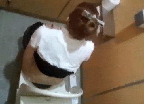 《盗撮動画》憧れの激カワ店員の痴態を見たすぎた俺、女子トイレに忍び込み隠し撮りを敢行してしまう...